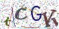 图形验证