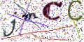 图形验证