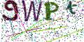 图形验证