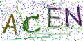 图形验证