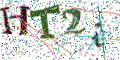 图形验证