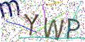 图形验证