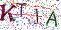 图形验证