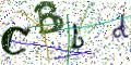 图形验证