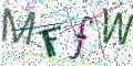 图形验证