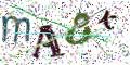图形验证