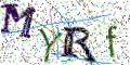 图形验证