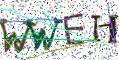 图形验证