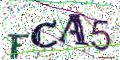 图形验证