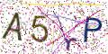 图形验证