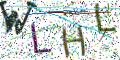 图形验证