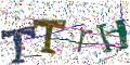 图形验证