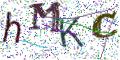 图形验证