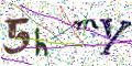 图形验证