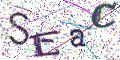 图形验证