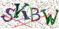 图形验证