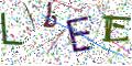 图形验证