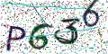 图形验证