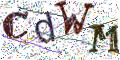 图形验证