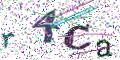 图形验证