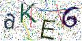 图形验证