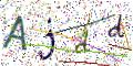 图形验证