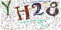 图形验证