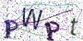 图形验证