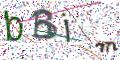 图形验证