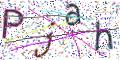 图形验证